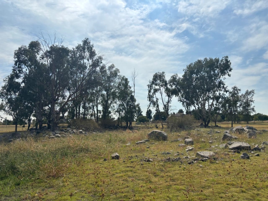 0 Bedroom Property for Sale in Oranjeville Free State